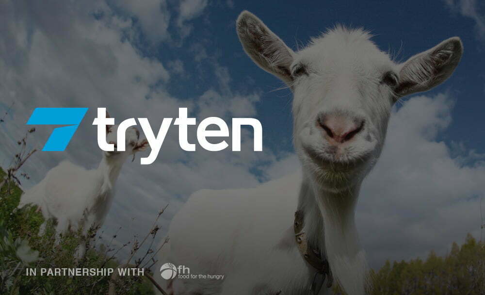 You are currently viewing About Tryten’s “Give A Goat” Campaign